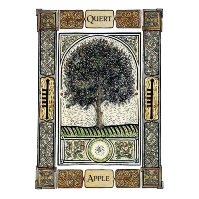 Карты Оракул Кельтский Древесный - The Celtic Tree Oracle