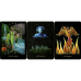 Карты Таро Twilight Realm A Tarot of Faery Сумеречный мир: Таро Фей Schiffer