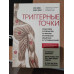 Триггерные точки. Пошаговое руководство по терапии хронических мышечных и суставных болей. Дэвис А., Дэвис К.