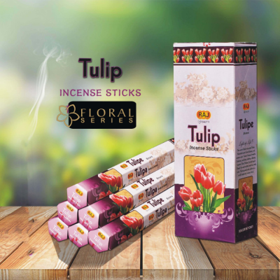 RAJ TULIP (шестигранник) Тюльпан