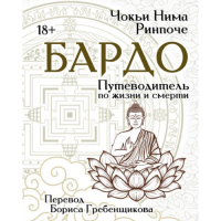 Бардо. Путеводитель по жизни и смерти. Чокьи Ринпоче