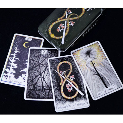 Карты Дикое Неизвестное Таро (Wild Unknown Tarot)