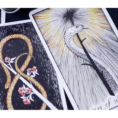 Карты Дикое Неизвестное Таро (Wild Unknown Tarot)