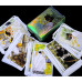 Карты Таро Путь Сновидений (Dreaming Way Tarot)