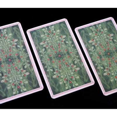 Карты Таро Николетта Чекколи (Nicoletta Ceccoli Tarot)
