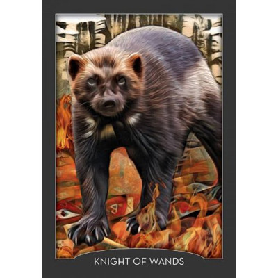 Карты Таро Хранителя Ночи - Guardian Of The Night Tarot. Hay House