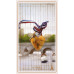Карты Оракул Парижский Ленорман - Lenormand de Paris Oracle. AGM