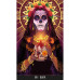 The Voice of Tarot Vox Arcana Голос Таро. Зов Арканов