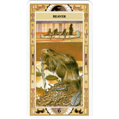 Сакральний оракул Американських індіанців  Native American Spirituality Oracle Cards