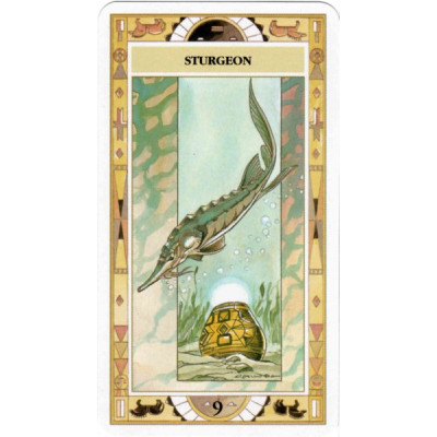 Сакральний оракул Американських індіанців  Native American Spirituality Oracle Cards