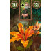 Феи Оракул Ленорман  Fairy Lenormand Oracle. Lo Scarabeo