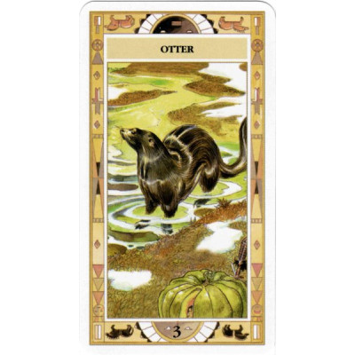 Сакральний оракул Американських індіанців  Native American Spirituality Oracle Cards