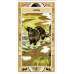 Сакральний оракул Американських індіанців  Native American Spirituality Oracle Cards