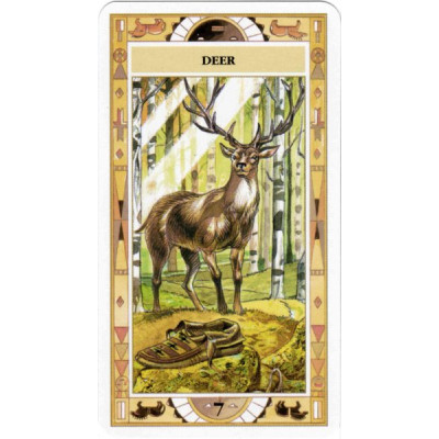Сакральний оракул Американських індіанців  Native American Spirituality Oracle Cards