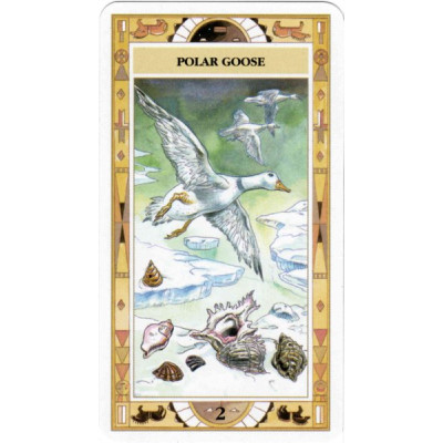 Сакральний оракул Американських індіанців  Native American Spirituality Oracle Cards