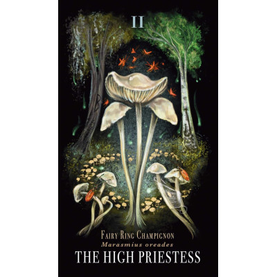 Таро Грибов: Полуночная Магия - Midnight Magic: A Tarot Deck of Mushrooms. Adams Media