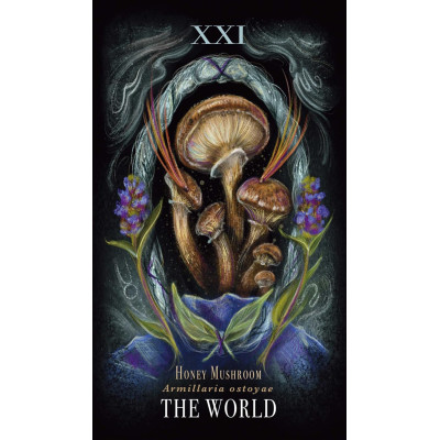 Таро Грибов: Полуночная Магия - Midnight Magic: A Tarot Deck of Mushrooms. Adams Media