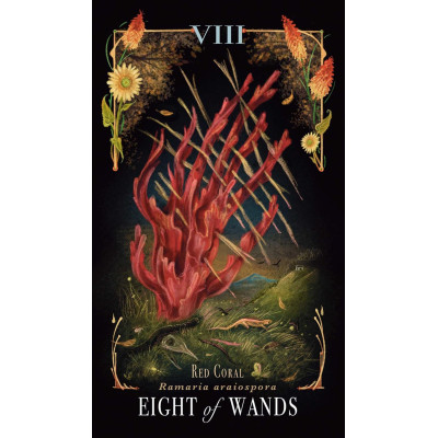 Таро Грибов: Полуночная Магия - Midnight Magic: A Tarot Deck of Mushrooms. Adams Media