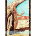 Оракул Прогулка Аборигенов - Aboriginal Walkabout Oracle Cards. Solarus