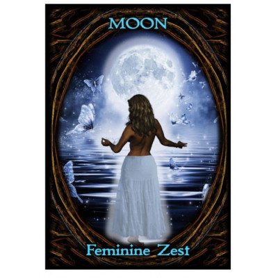 Карты Оракул Мистический Странник - Mystic Wanderer Oracle Austeen Freeman Solarus