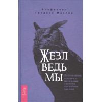 Жезл ведьмы. Изготовление, история и магические свойства волшебных палочек
