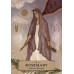 Кишеньковий оракул трав’яної астрології - The Herbal Astrology Pocket Oracle