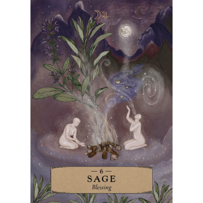Кишеньковий оракул трав’яної астрології - The Herbal Astrology Pocket Oracle