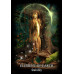 Оракул Еволюція душі|Evolution of the Soul Oracle  Solarus