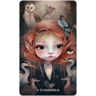 Карты Оракул Мудрость диких существ - Wisdom of the Wild Things Oracle