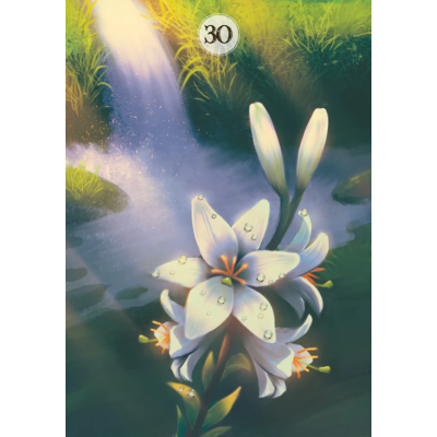Карты Оракул Травы и растения Ленорман  - Herbs & Plants Lenormand Oracle Cards