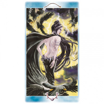 Карты Таро Shaman tarot EX 176 Scarabeo.