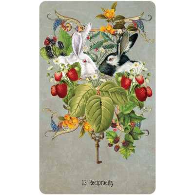 Unlocking The Secret Garden Oracle Cards - Оракул "Відкриваючи Таємний Сад"