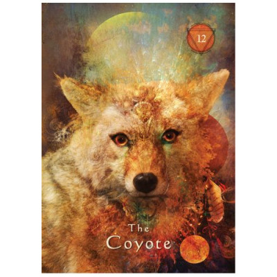 Карты Оракул мистического шамана: колода из 64 карт и руководство - Mystical Shaman Oracle Cards: A 64-Card Deck and Guidebook