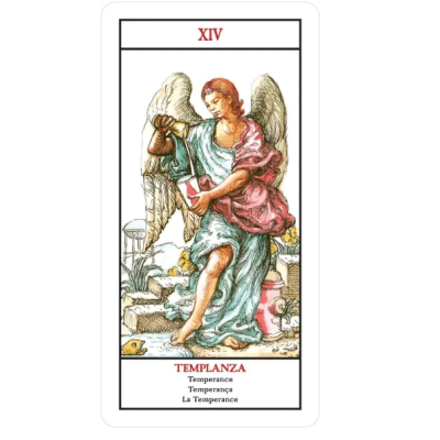Карты Таро Неоколониальное Таро Америки Tarot Neocolonial de las Américas