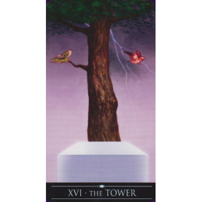 Серебряное колдовское Таро  Silver Witchcraft Tarot