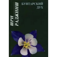 Бунтарский дух и религиозный человек. Ошо