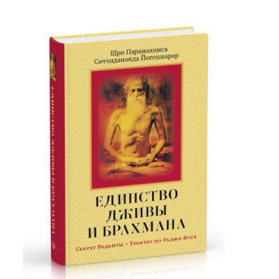 Единство Дживы и Брахмана (ч 1) Сатчидананда Йогешвара