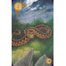 Карти Оракул Ленорман Кельтський - Celtic Lenormand