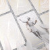 Ephemere: A tarot deck by True Black - Эфемера: колода Таро от True Black