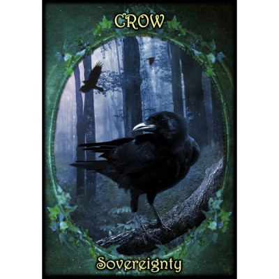 Карти Оракул " Фамильяри відьом" - Witches' Familiars Oracle Cards