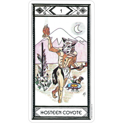 Таро Корінних Американців – Native American Tarot. US Games