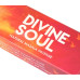Nandita Devine Soul 15 грамм Божественная Душа
