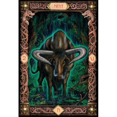 Карты Оракул Сила Рун - Power of the Runes Deck. U.S. Games Systems