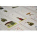 Карти Таро Стародавня Ленорман. Lenormand Old. AGM