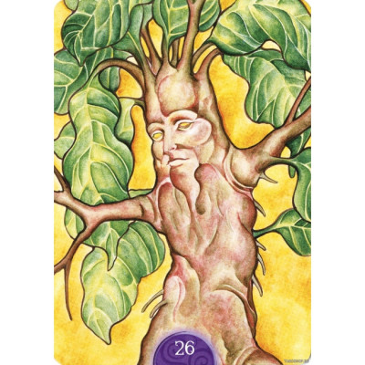 Карты Оракул Викканский  - Wiccan Oracle Cards