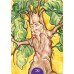Карты Оракул Викканский  - Wiccan Oracle Cards