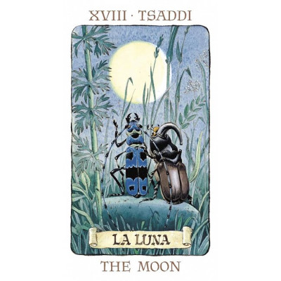 Карти Таро Гномів - Tarot of the Gnomes. Lo Scarabeo