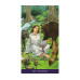 Карты Таро Языческое - Pagan Tarot. Lo Scarabeo