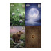 Карты Оракул Телема Ленорман - Thelema Lenormand
