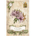 Карти Оракул Старий Стиль Ленорман - Old Style Lenormand